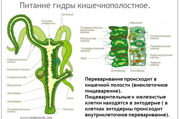 Кракен ворует аккаунты